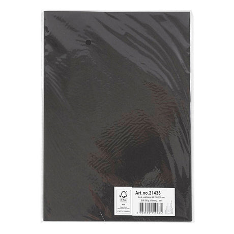 Creativ company karton zwart a4, 210-220g, 10 vellen