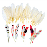 Colorations - natuurlijke witte veren, 48st.