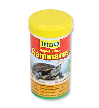 Tetra Gammarus Schildkröt Iessen