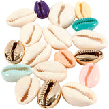 Creativ company https: www.cchobby.nl schelpen-l-20-mm-diverse-kleuren-75-stuk-1-doos