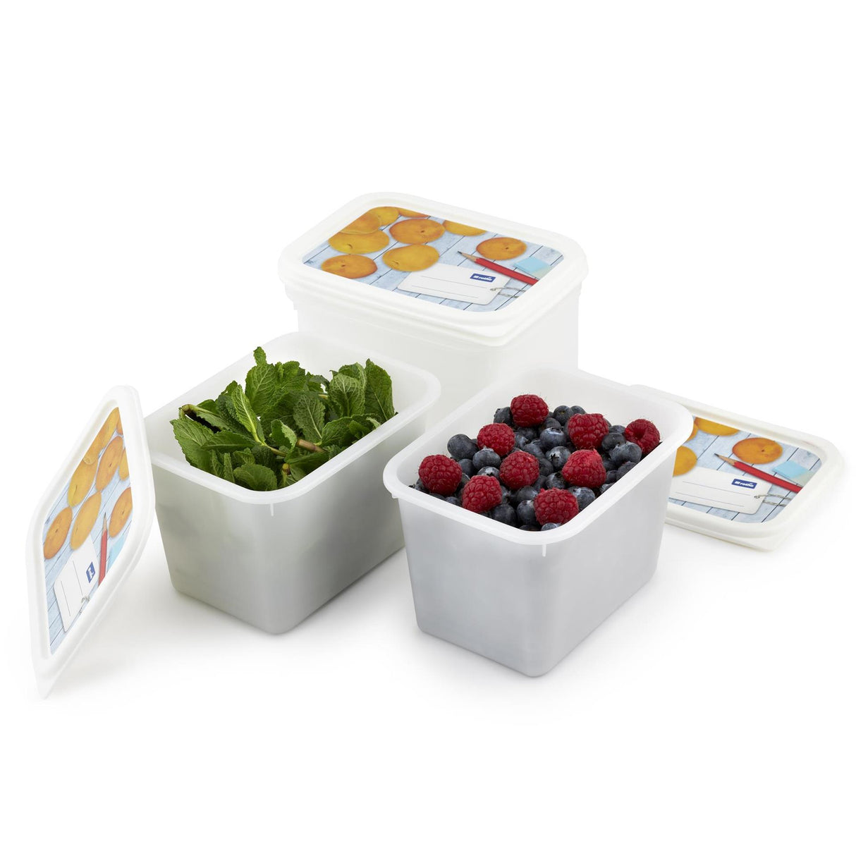 Rotho domino diepvriesdozenset 4-delig 1l etiket decor beschrijfbaar