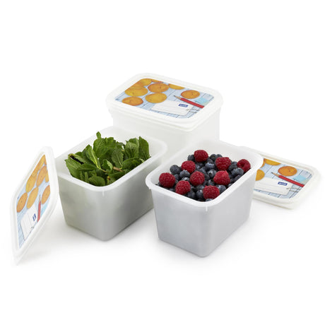 Rotho domino diepvriesdozenset 4-delig 1l etiket decor beschrijfbaar