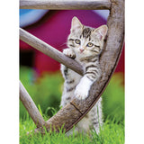 Ravensburger - puzzel - 2 x 500 stukjes
