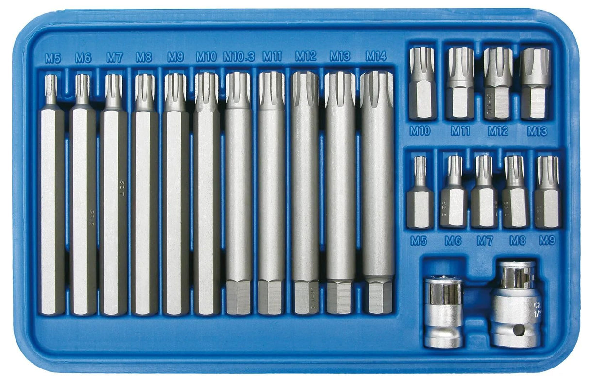 Sw stahl bitset ribe set 22 pcs. m5-m13 sw steel