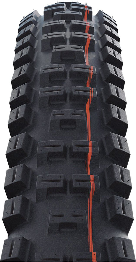 Schwalbe - big betty performance bikepark 26x2.40