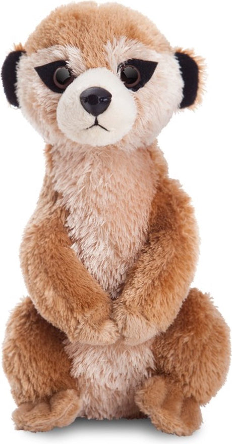 Aurora pluche stokstaartje knuffel - 20 cm - kinder speelgoed dieren knuffels