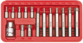 Vorel torx tips 15cz.
