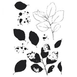 Sizzix • clear stamps set a5 with framelits die painted pencil leaves