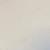 DNP Standaard Papier DSRX1HS-4X6 2 Rol � 700 St. 10x15 voor DS-RX1HS