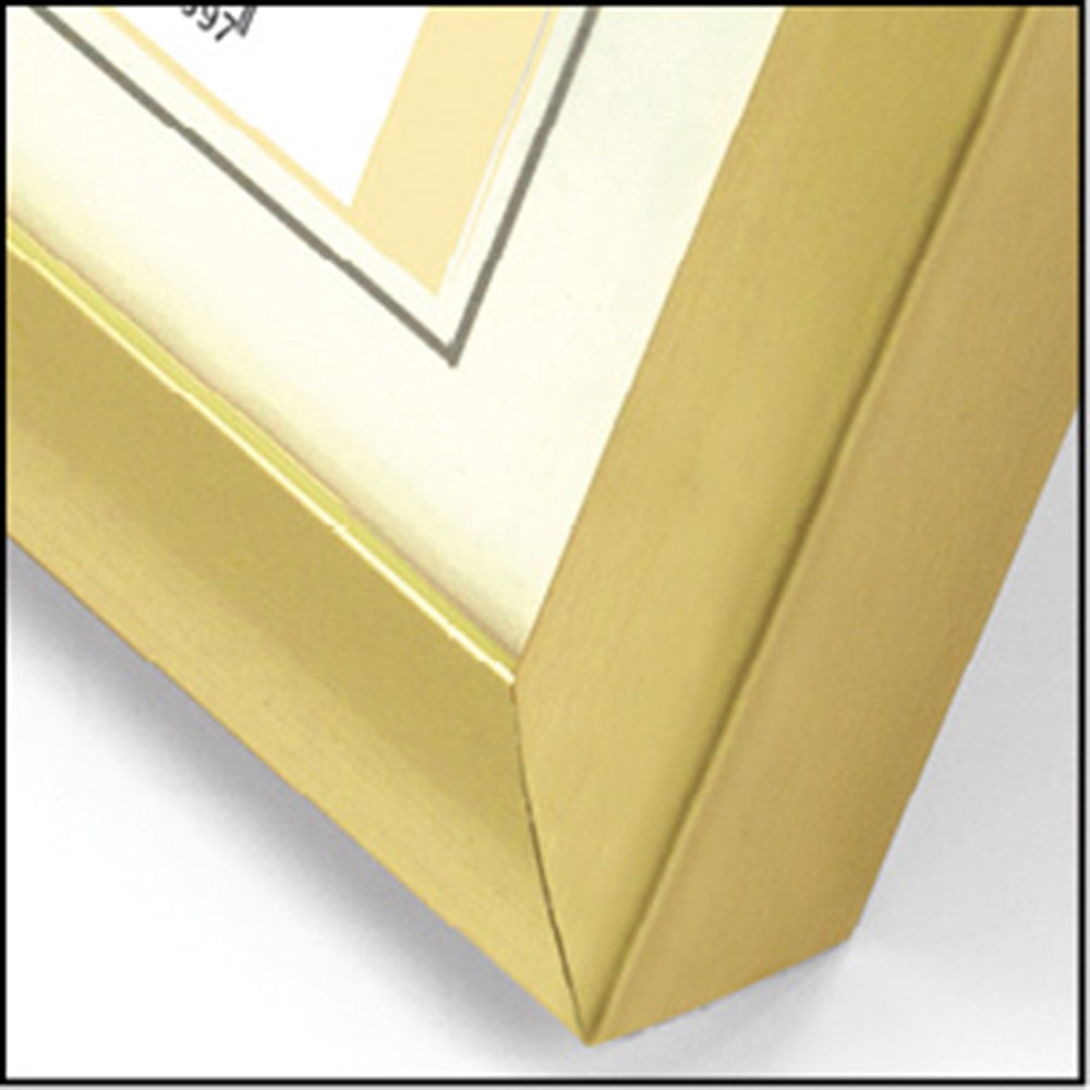 Zep fotolijst kg5 goud 30x40 cm