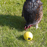 Savic kippenspeeltje chicken fun
