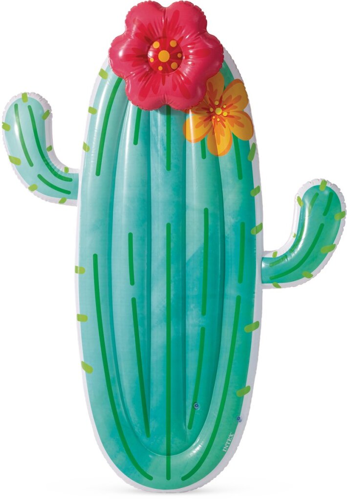 Intex 58793eu cactus float