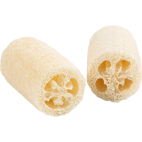 Tmf tormino fulfilment http: www.cchobby.nl natuurlijke-loofah-spons-l-10-cm-d-5-5-8-cm-licht-naturel-2-stuk-1-doos