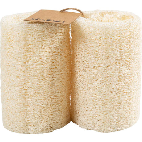 Tmf tormino fulfilment http: www.cchobby.nl natuurlijke-loofah-spons-l-10-cm-d-5-5-8-cm-licht-naturel-2-stuk-1-doos