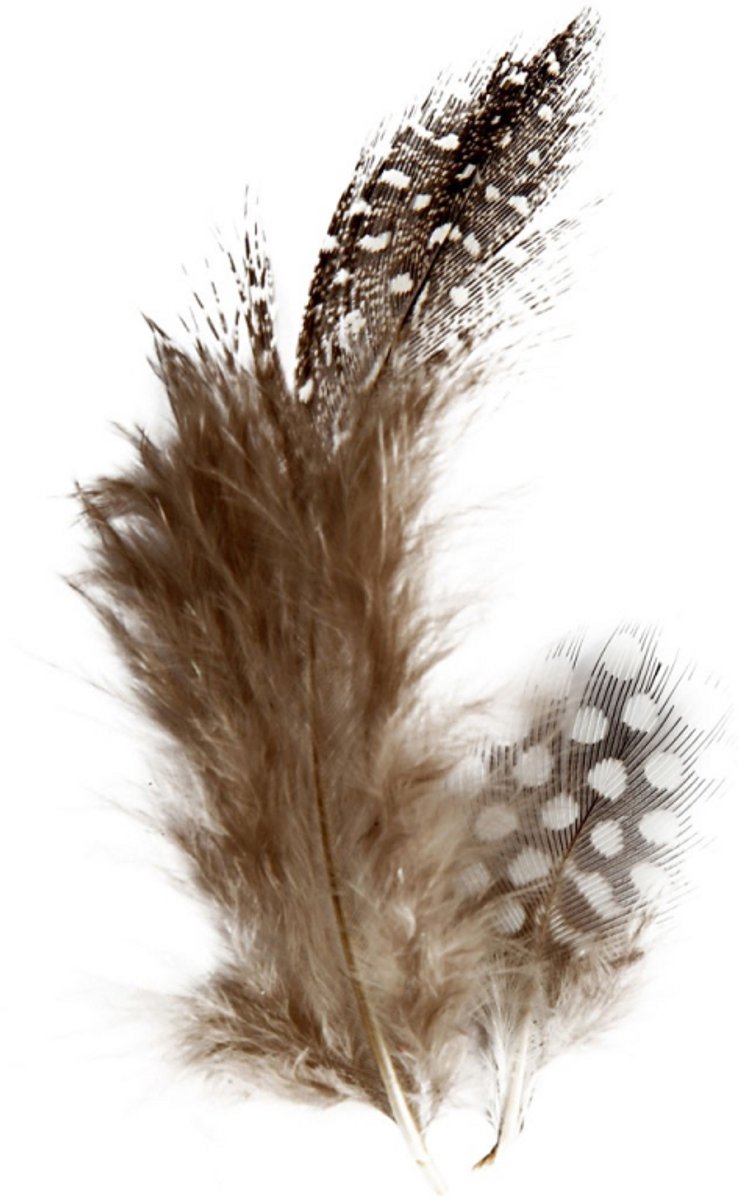 Creativ company http: www.cchobby.nl veren-van-parelhoen-ca-100-stuk-bruin-3-gr-1-doos