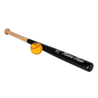 Honkbalbat met bal