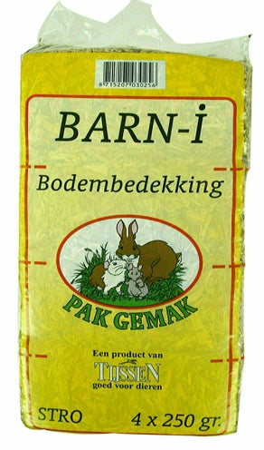 Barn-i Stro pak-gemak