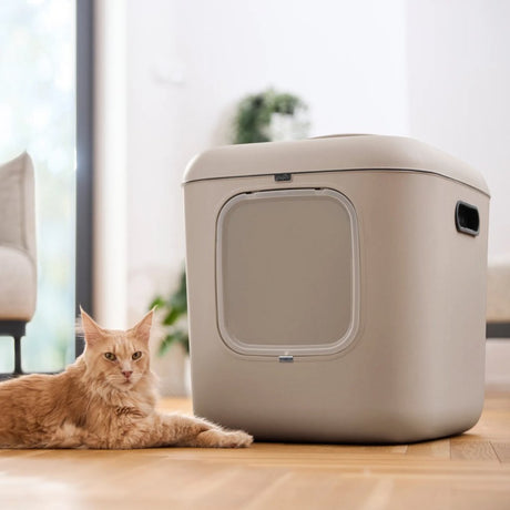 Rotho mypet kattenbak biala xl 62x50x58 cm - kattentoilet - cappuccino