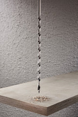 Wolfcraft - slangenboor voor houtbalken 6mm - 250mm lang - zeskantschacht - ø 6 mm - houtboor - 7659010