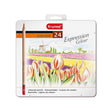 Bruynzeel kleurpotloden 24st expression voor volwassenen