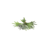 Countryfield kunstplant platycerium groen 10xh63,5cm