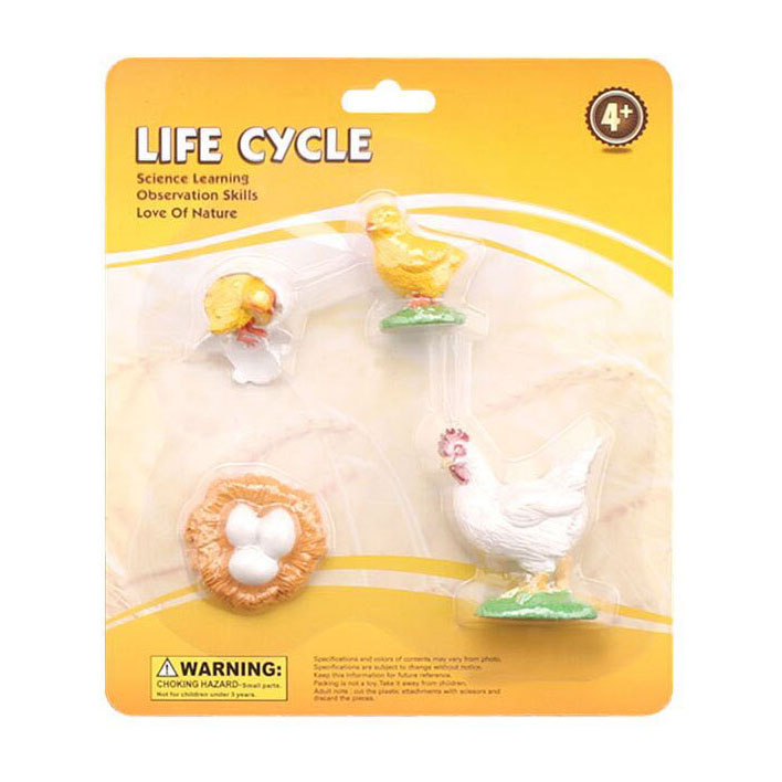 Cycplus Levenscyclus Haan Speelfiguren Set