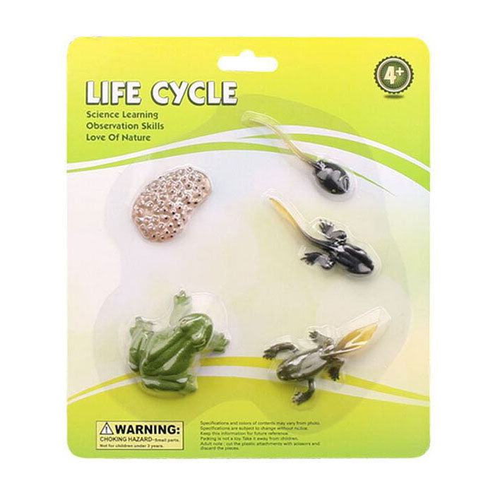 Cycplus levenscyclus kikker speelfiguren set