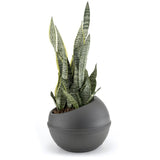 Bama sfera bloempot 23l 40.5x32 cm antraciet