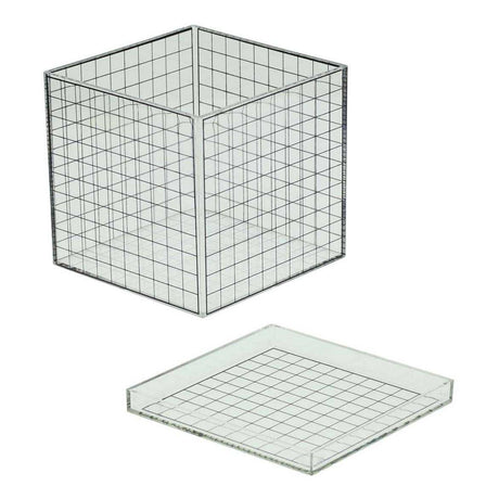 Albatros hengelsport transparante 3d rasterkubus - 10x10x10 cm