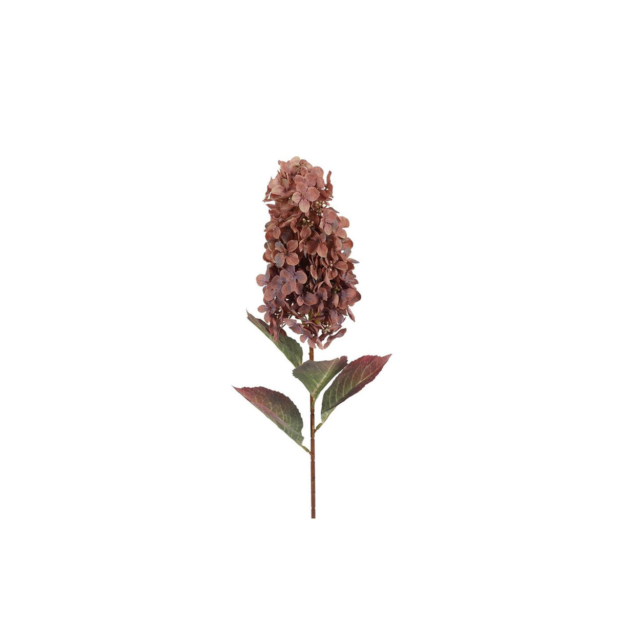 Countryfield kunstbloem paniculata hydrangea koper