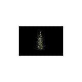 Country field countryfield kerstboom led cedrus groen kunststof 11x10x61cm 15led 3xaaa