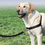 Petsafe Easy walk anti-trek tuig zwart