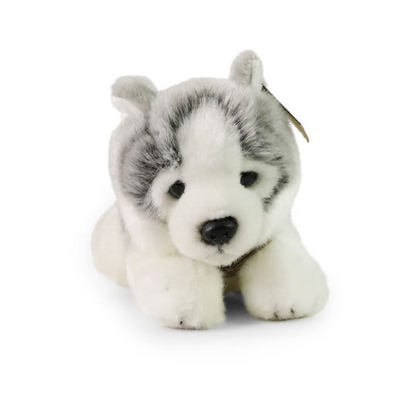 Pluche husky 24 cm eco-vriendelijk