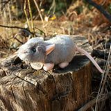 Pluche muis 16 cm eco-vriendelijk