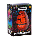Amazing cool dino groei ei 11 cm kleur assorti | 6 stuks