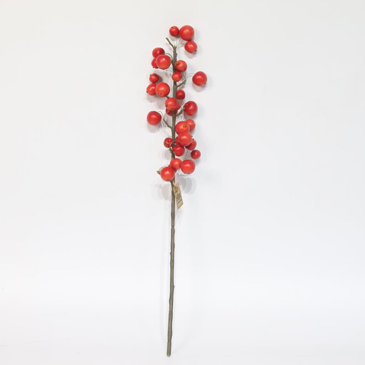 Hbx natural living kunsttak met appeltjes l66cm rood