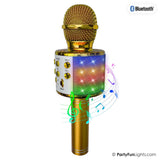 Partyfun lights karaoke mic met luidspreker 1200ma