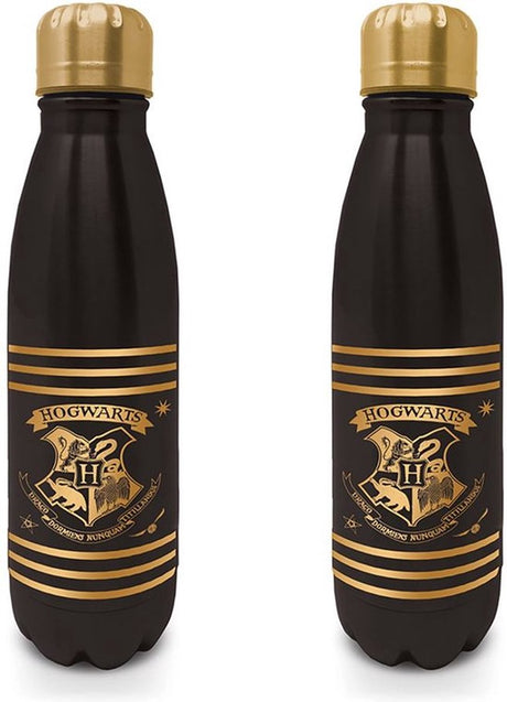 Harry potter - metal drinking bottle