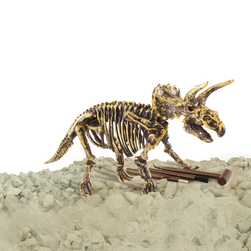 Dinobase dino 3d triceratops skelet