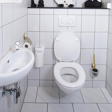 Hg eco toiletruimte reiniger