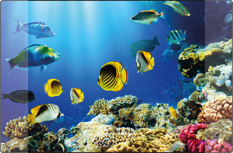 Kangaro bureau onderlegger - 38x58cm - aquarium - antislip - met insteekvakken - k-0014d115