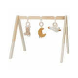 Little dutch newborn naturals babygym