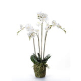 Emerald kunstplant orchidee met mos wit 90 cm 20.355