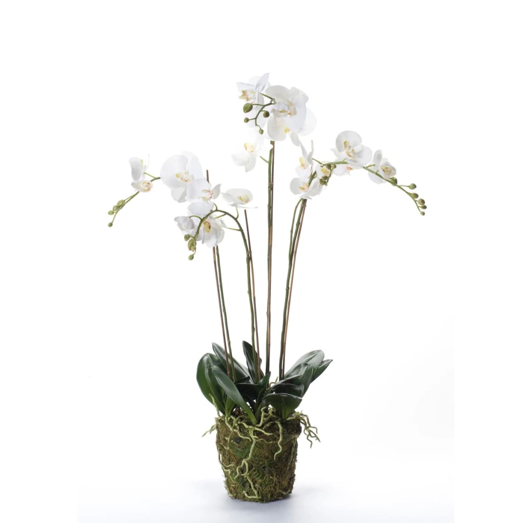 Emerald emerald kunstplant orchidee met mos wit 90 cm 20.355