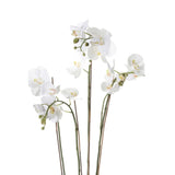 Emerald emerald kunstplant orchidee met mos wit 90 cm 20.355