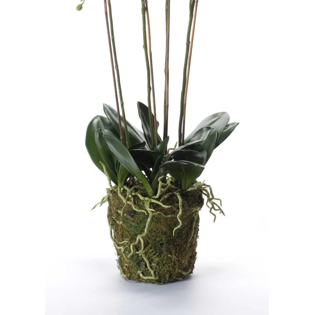 Emerald emerald kunstplant orchidee met mos wit 90 cm 20.355