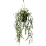 Emerald emerald kunstplant hangend in pot asparagus 50 cm