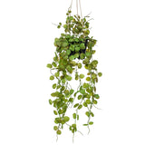 Emerald emerald kunstplant hangend in pot lantaarnplant 50 cm