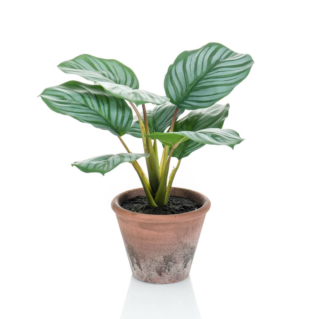 Emerald emerald kunstplant in pot terra calathea orbifolia 32 cm