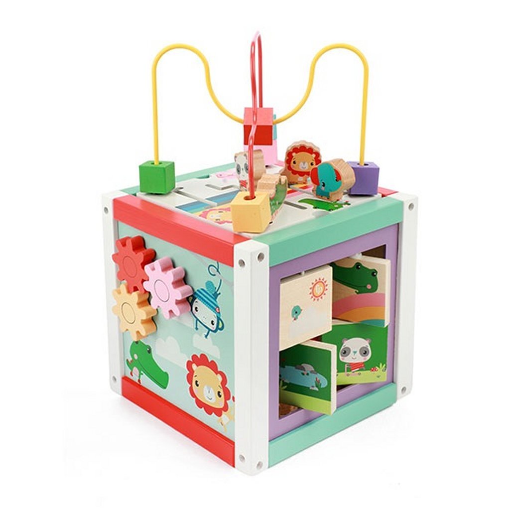 Fisher Price Activiteiten Kubus Hout